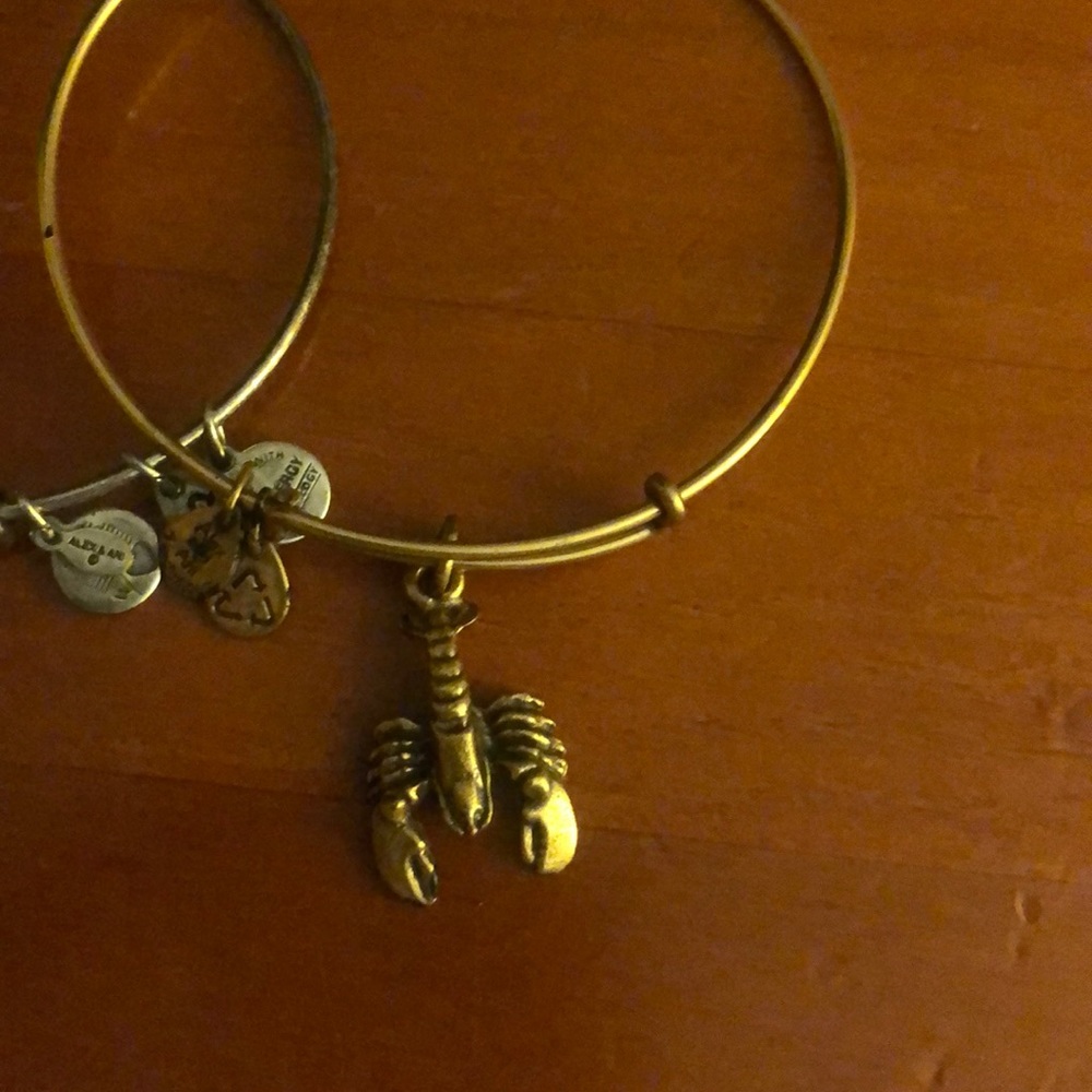 Alex and ani bracelets - Picture 3 of 3